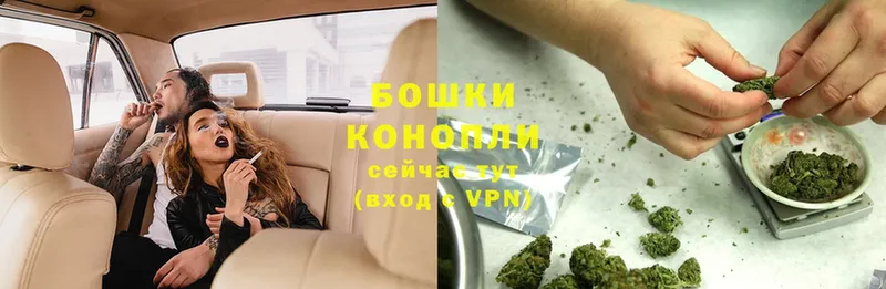 Бошки марихуана OG Kush  Кондопога 